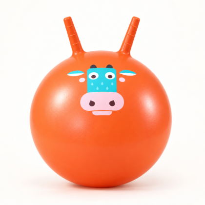 Sensory Training Ball